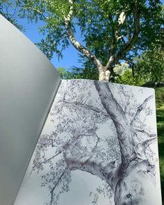 an open book sitting on top of a table next to a tree