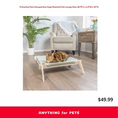 a cat laying on top of a table in the middle of a room with furniture