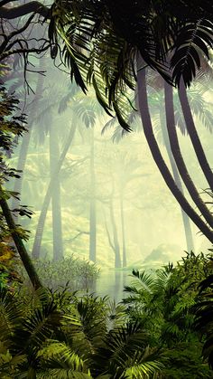 an image of a jungle scene with trees and plants in the foreground, light from behind