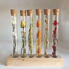 five glass vases with flowers in them on a wooden stand, all lined up