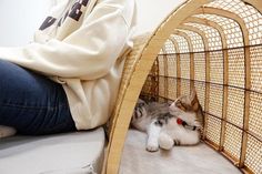 a small dog laying on the floor next to a person in a white shirt and blue jeans