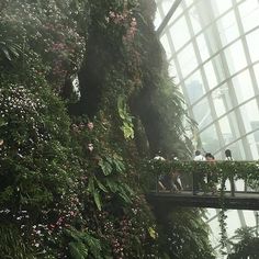 people are standing on a bridge in the middle of an indoor plant wall that looks like it's growing up high