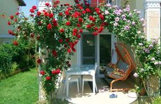 a patio with red roses growing over it and a table in the foreground, surrounded by flowers