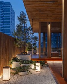 an outdoor area with potted plants and lights