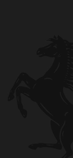 the silhouette of a horse on a black background