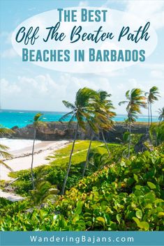 the beach and palm trees with text overlay that reads, the best off the beaten path beaches in barados