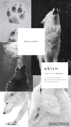 White wolf aesthetic wallpaper background white blanc White Wolf Aesthetic, Wolf Aesthetic, Aesthetic White, Aesthetic Background, White Wolf, White