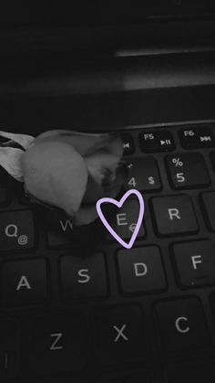 a pink rose sitting on top of a laptop keyboard with the word love spelled below it
