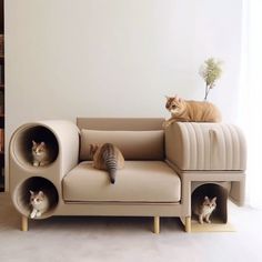 two cats sitting on top of a couch in a living room