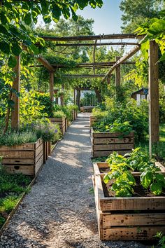 an outdoor garden with lots of plants and wooden boxes on the path leading to it
