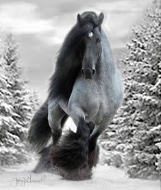 a black and white photo of a horse running in the snow with trees behind it