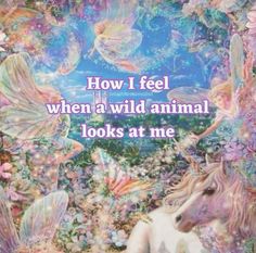 a unicorn and other animals with the words how i feel when a wild animal looks at me