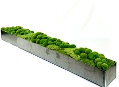 a long metal planter filled with green moss