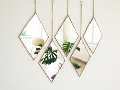 three mirrors hanging on a wall with plants in the background