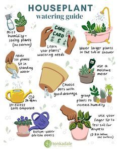 the houseplant watering guide is shown with plants and watering tools in it