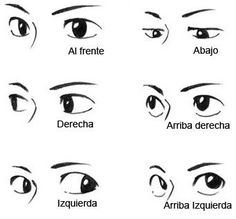 an image of different types of eyes with the names in each eyelide and how to draw them