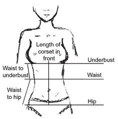 a diagram showing the parts of a woman's body