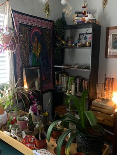 a room filled with lots of potted plants and books on top of a wooden table