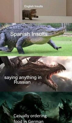 two pictures with different words in them, one is an alligator and the other says spanish ins