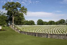 rows of headstones are lined up in the grass