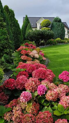 pink and red flowers line the edge of a garden