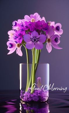 purple flowers are in a glass vase with water