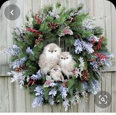 three owls sitting on top of a christmas wreath