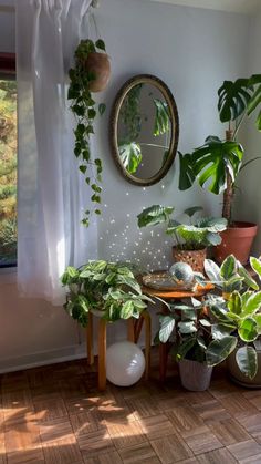 some plants are sitting on a table in front of a window and a potted plant