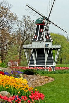 a windmill sits in the middle of a flower garden with tulips and daffodils