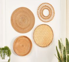 three woven baskets hanging on the wall next to a potted plant