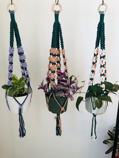 three potted plants are hanging from hooks on the wall, and one is filled with flowers