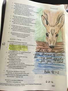 an open bible with a drawing of a kangaroo on it's page and the words,