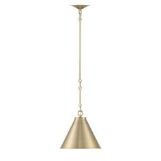 a brass colored pendant light hanging from the ceiling