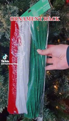 someone is holding up some green and white christmas tree branches with the flag of italy on it
