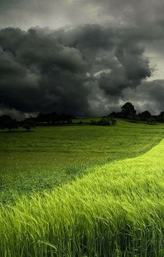 a green field with storm clouds in the background