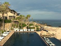 an outdoor swimming pool with lounge chairs and umbrellas next to the beach, surrounded by palm trees