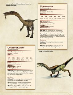 Dnd Dinosaurs, Dnd Encounters, Dnd Monster, Monster Manual, Wild Shape, Myths & Monsters, Dnd Classes, Dnd Races, Dnd Dragons