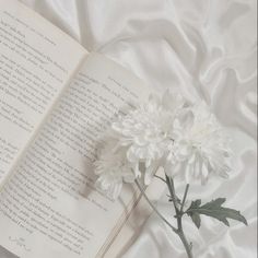 an open book with white flowers sitting on top of it