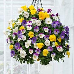 a hanging basket filled with lots of colorful flowers