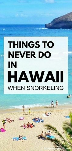 people on the beach with text overlay saying things to never do in hawaii when snorking