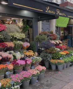 an outdoor flower shop with lots of flowers on display