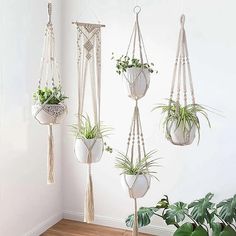 three hanging planters with plants in them, one is white and the other is green