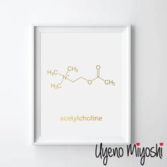 the chemical formula for acetylcholinne framed in a white frame on a wall