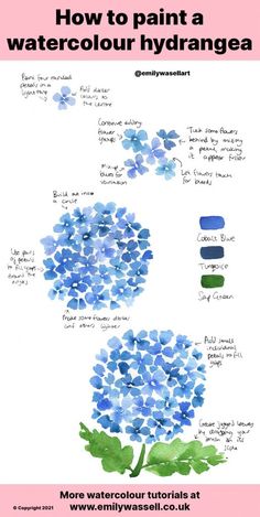 blue hydrant flowers with the words how to paint a watercolour hydrangea