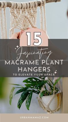 macrame plant hangers with text overlay that reads 15 fascinating macrame plant hangers to elevate your space