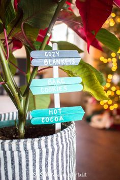 a potted plant with wooden signs on it