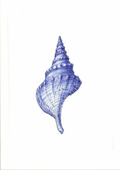 a drawing of a blue sea shell on a white background