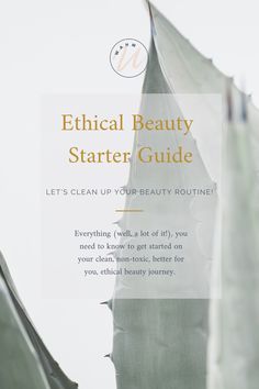 Image of succulent with text: "Ethical Beauty Starter Guide: Let's Clean up Your Beauty Routine! Everything (well, a lot of it) you need to know to get started on your clean, non-toxic, better for you, ethical beauty journey." Living Slow, Diy Recipes, Beauty Shots