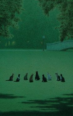 a group of cats sitting on top of a grass covered field next to a forest