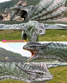 an image of two dragon heads with their mouths open